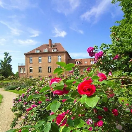 Mit Terrasse In * Warnkenhagen (Kalkhorst)